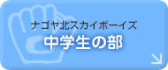 �i�S���k�X�J�C�{�[�C�Y ���w���̕�