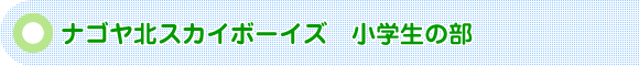 �i�S���k�X�J�C�{�[�C�Y���w���̕�